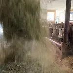 Διαμέρισμα Schwaigerhof
