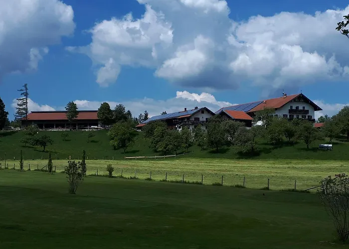 Schwaigerhof Апартаменты *