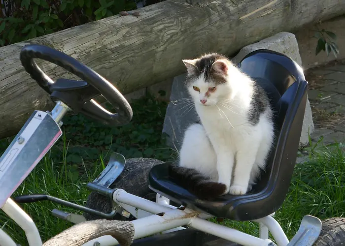 Schwaigerhof Апартаменты Wackersberg