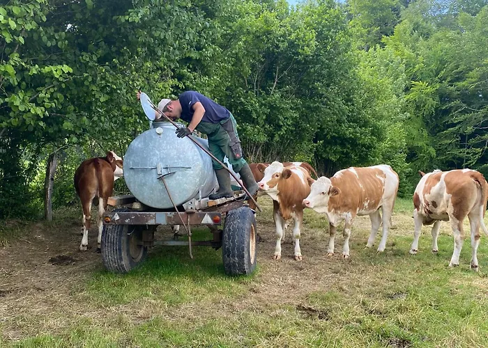 Schwaigerhof Апартаменты