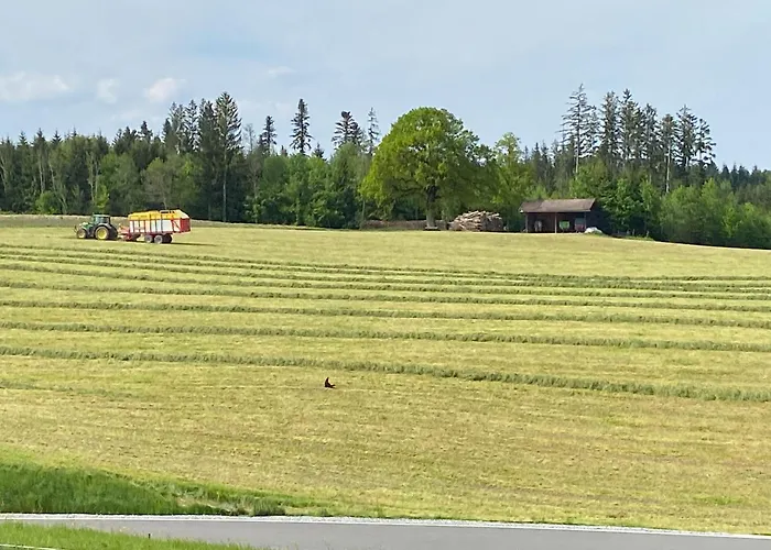 Schwaigerhof *